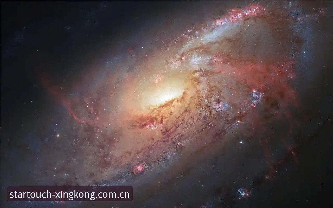 为什么星空入口下载评测比单纯看教程更重要？